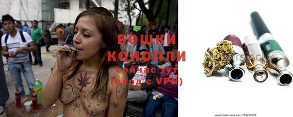 дживик Карпинск