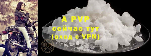 кокс Касимов