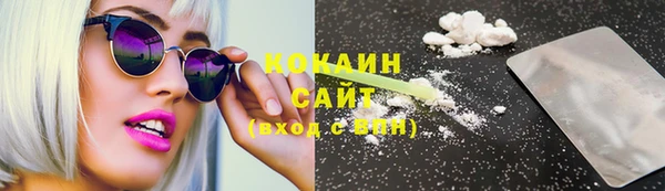 кокс Касимов