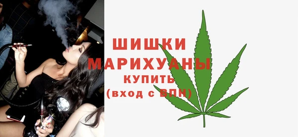 ПСИЛОЦИБИНОВЫЕ ГРИБЫ Карталы