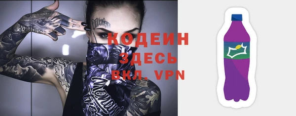 дживик Карпинск