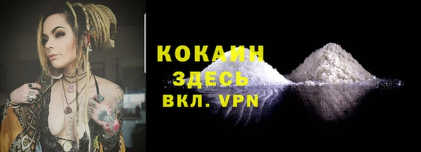 дживик Карпинск