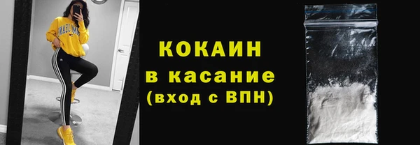 дживик Карпинск