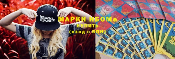 кокс Касимов