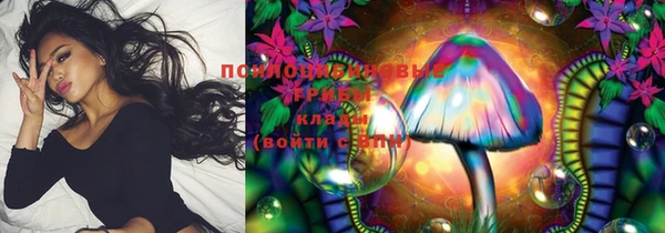 дживик Карпинск