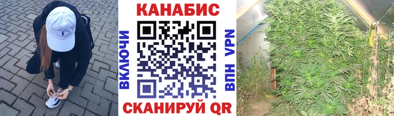 МАРИХУАНА THC 21%  Купить где  Нестеровская 
